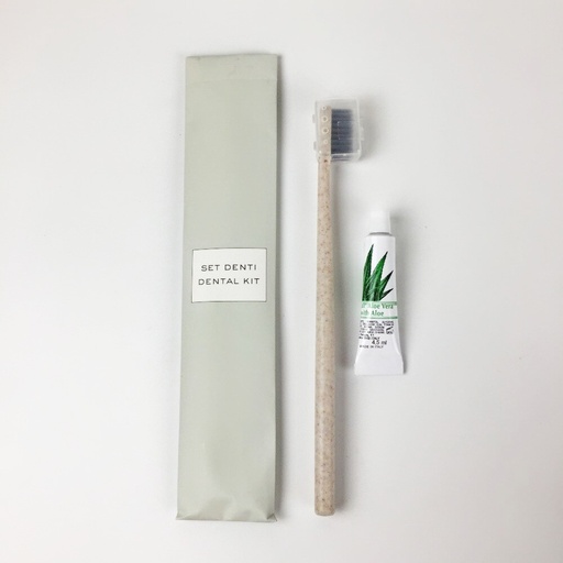 [DENTSTON250] Set brosse à dents eco STONE